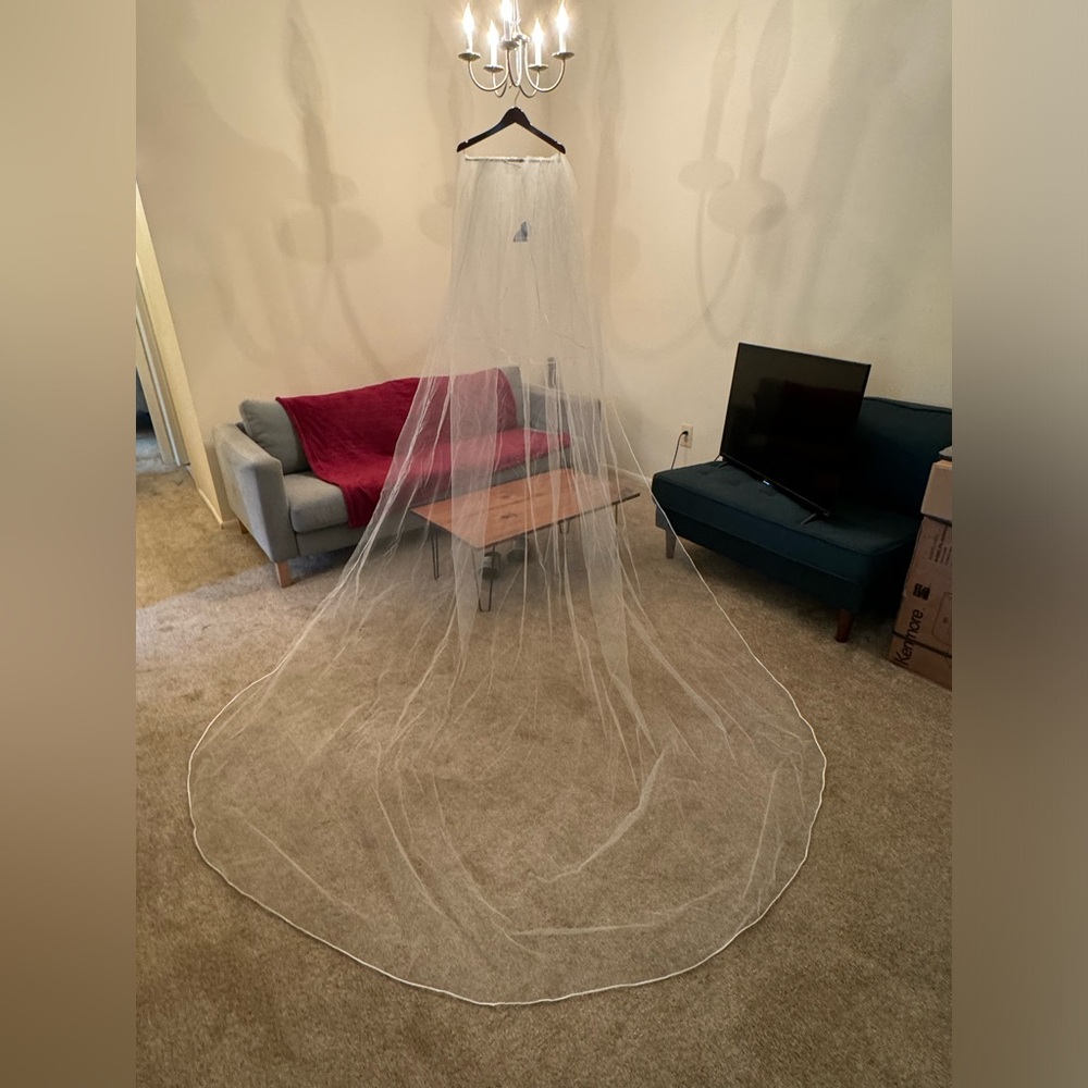 Custom 1/4 in Satin Trim Veil w/Blusher
